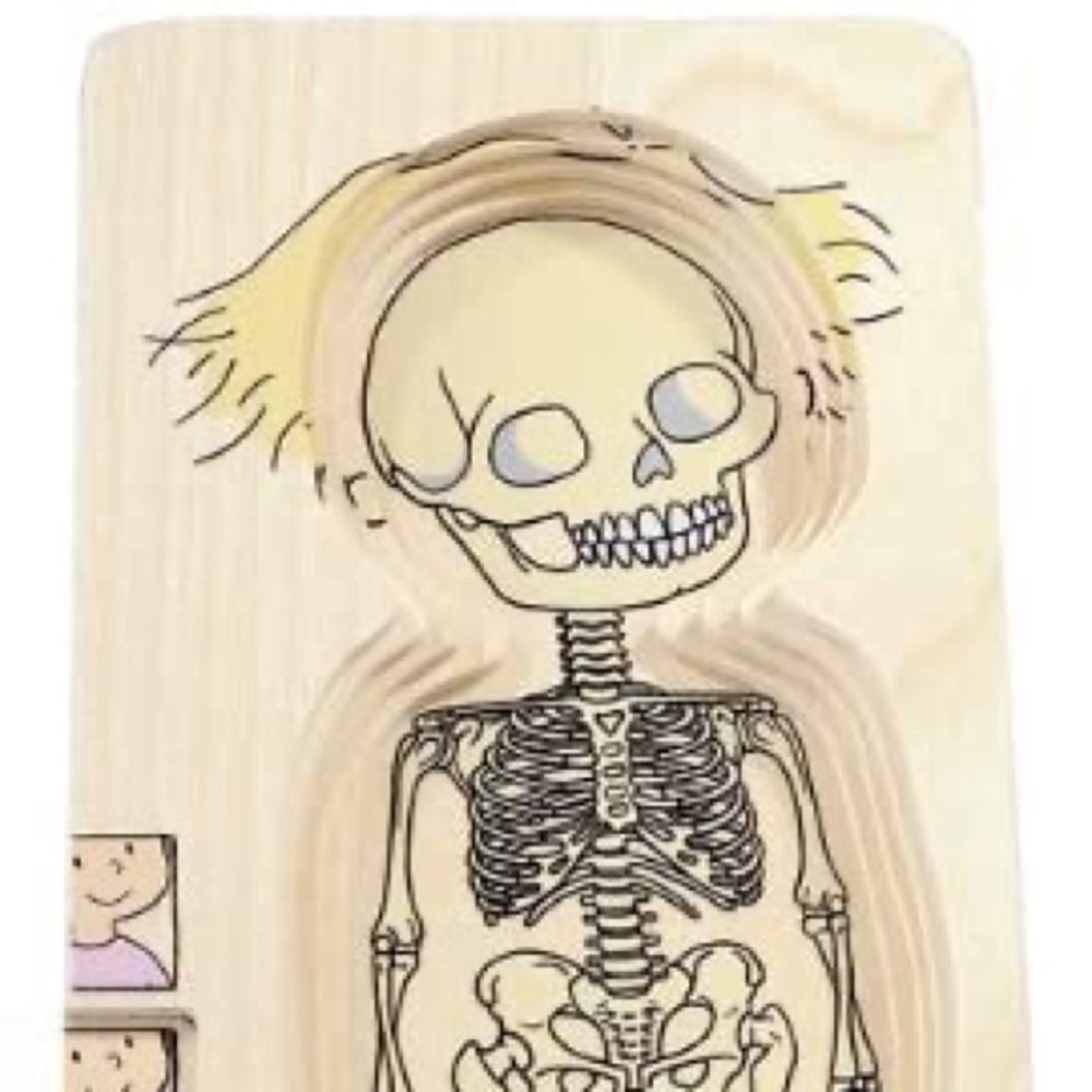 New Hape by Beleduc 5-Layer wooden Body Puzzle - Picture 8 of 11